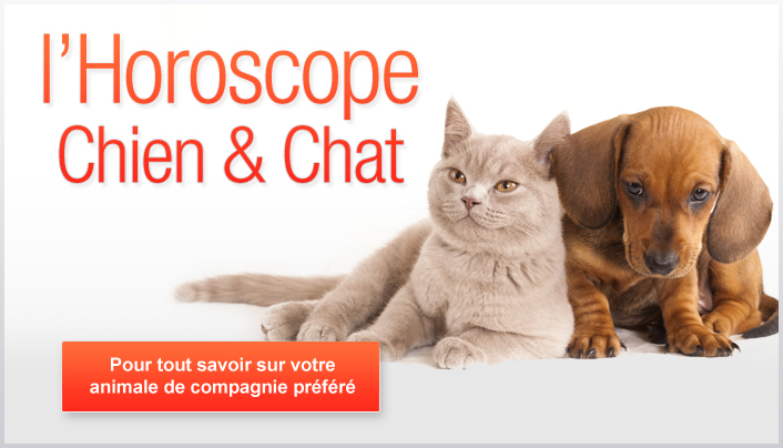 horoscope hebdomadaire de votre chien 