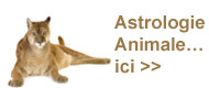 sm_ad_1